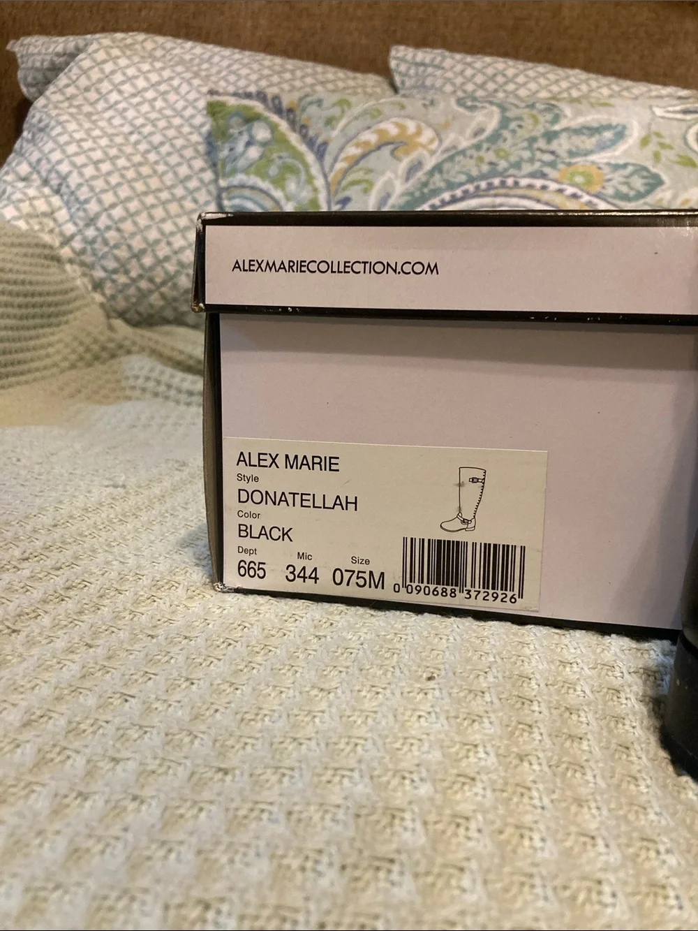 Alex Marie sleek over